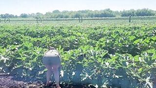 A slender brunette saw a field in which large zucchini grow, she was not at a loss and plucked a few pieces - 12 image