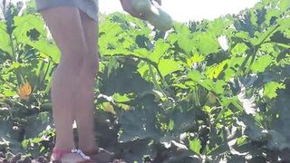 A slender brunette saw a field in which large zucchini grow, she was not at a loss and plucked a few pieces - 4 image