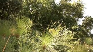 Schwarze Milf squirtet kurz nach dem Crampie