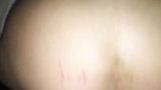 Let's try the new bed