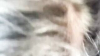 Hot milf  gives blow job  and Swollows huge load - 11 image