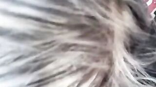 Hot milf  gives blow job  and Swollows huge load - 12 image