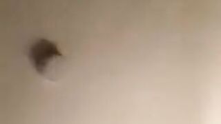 Fuck her then I get her Money