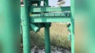 8 Min Piss & Squirt Complilation - Golden Shower - 6 image