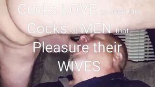 Mature Wife Cuckolds Husband - 14 image